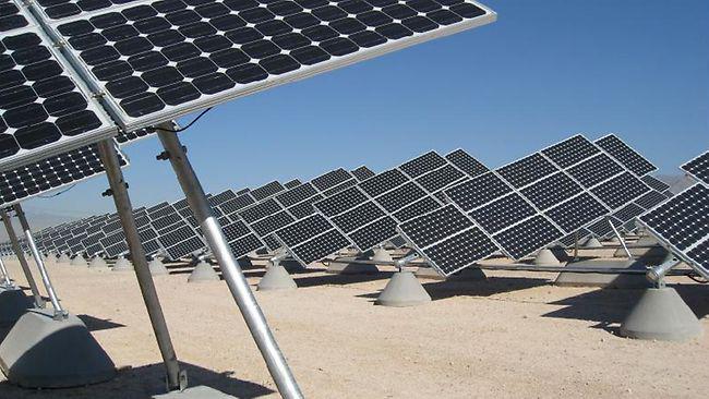 /wp-content/uploads/2012/02/aus-bus-pix-solar-farm.jpg