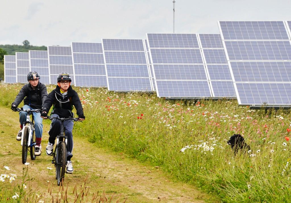 /wp-content/uploads/2013/08/solar-farm-NSW.jpg