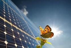 /wp-content/uploads/2013/10/Solar-Panel-Butterfly.jpg