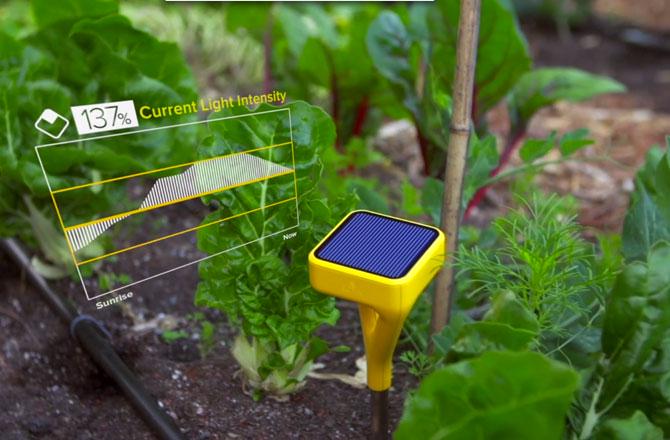 /wp-content/uploads/2015/02/smart-garden-system.jpg