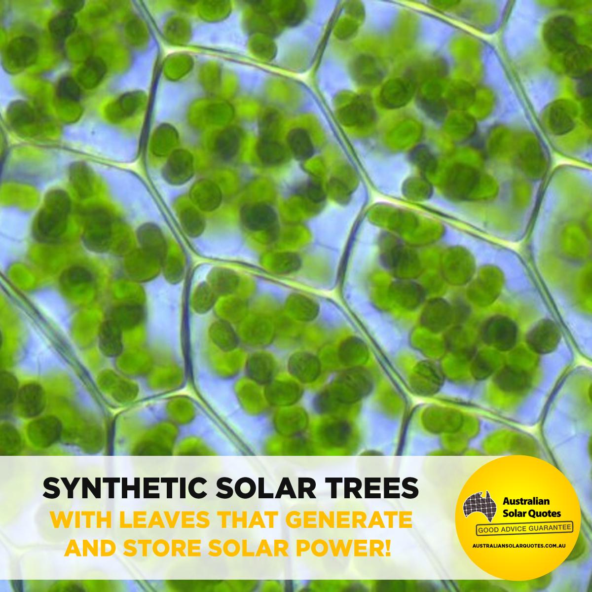 /wp-content/uploads/2015/04/Synthetic-Solar-Trees-Infographic.jpg